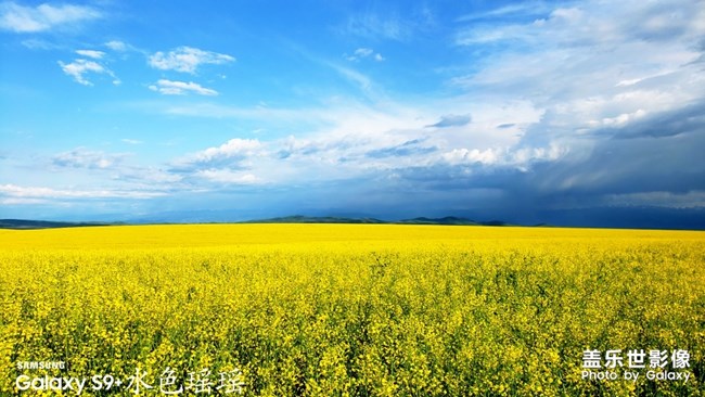 【每周星鲜事05】长假将至你准备好了吗? 【每周星鲜事05】长假将至你准备好了吗?