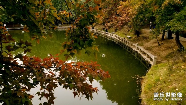 天平山红枫之旅