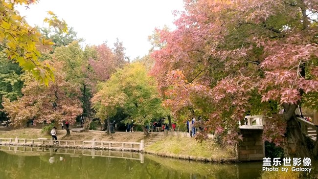 天平山红枫之旅