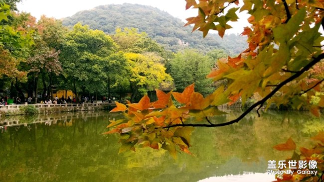 天平山红枫之旅