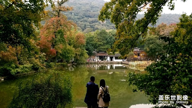 天平山红枫之旅