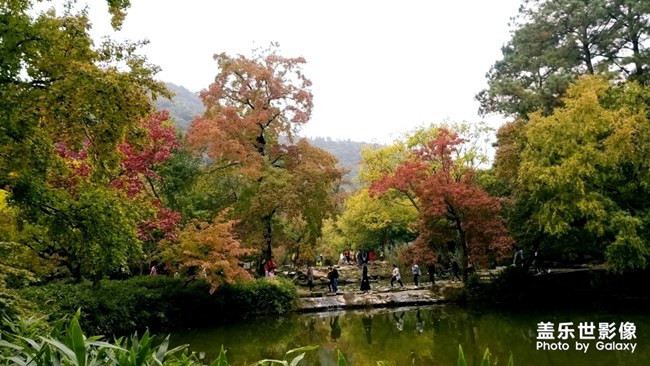 天平山红枫之旅