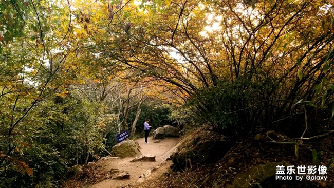 天平山红枫之旅