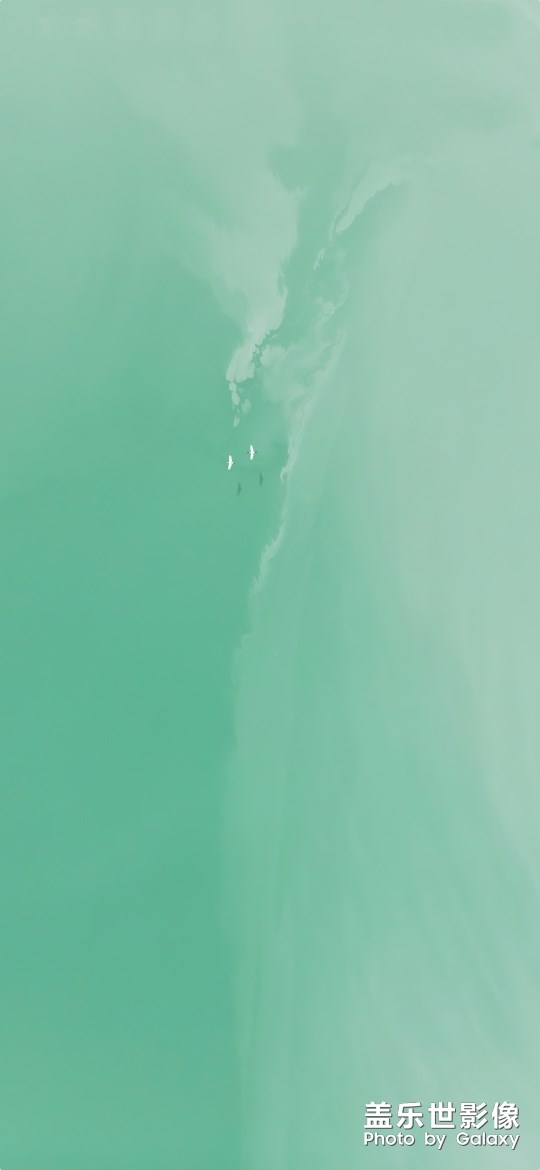 分享四张坚果Pro3的壁纸