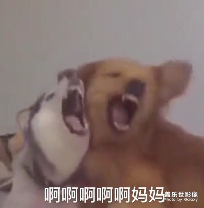 免费使用三星主题 私我 给教程