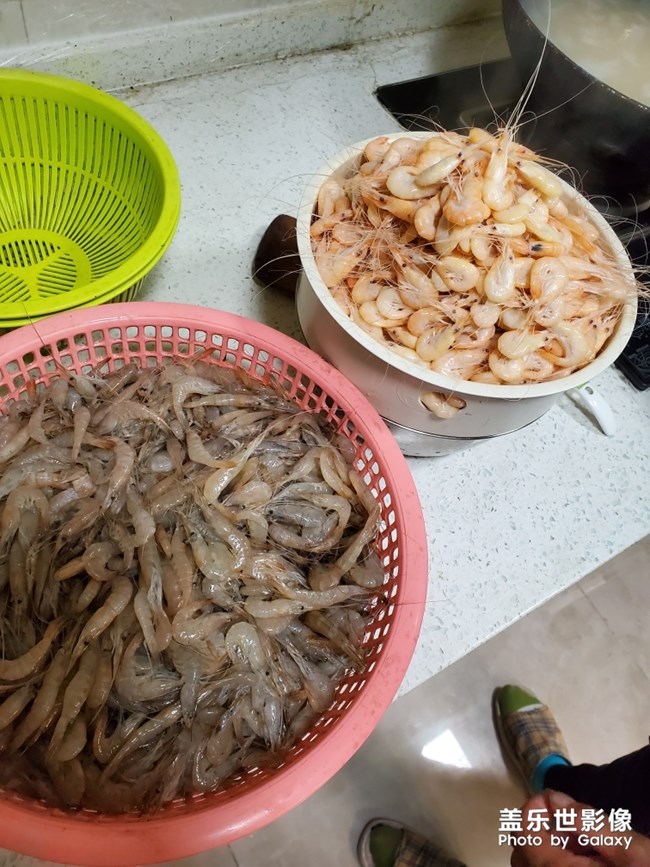 虾 怕了