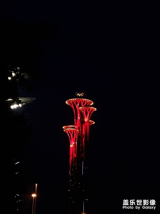 听说有人喜欢猫？