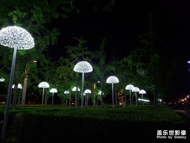 听说有人喜欢猫？