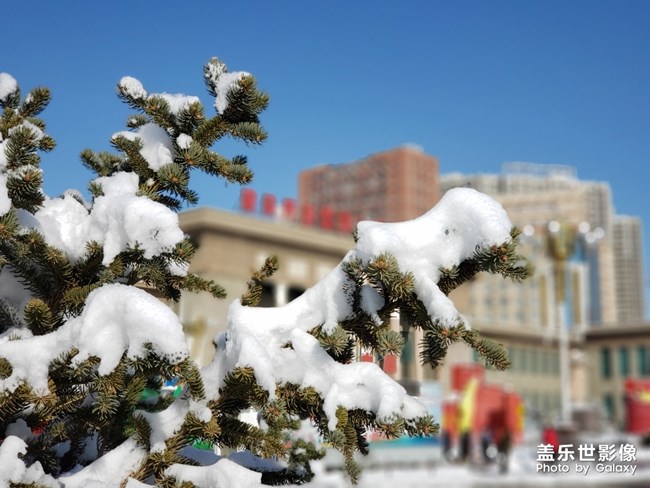 2019年第一场雪