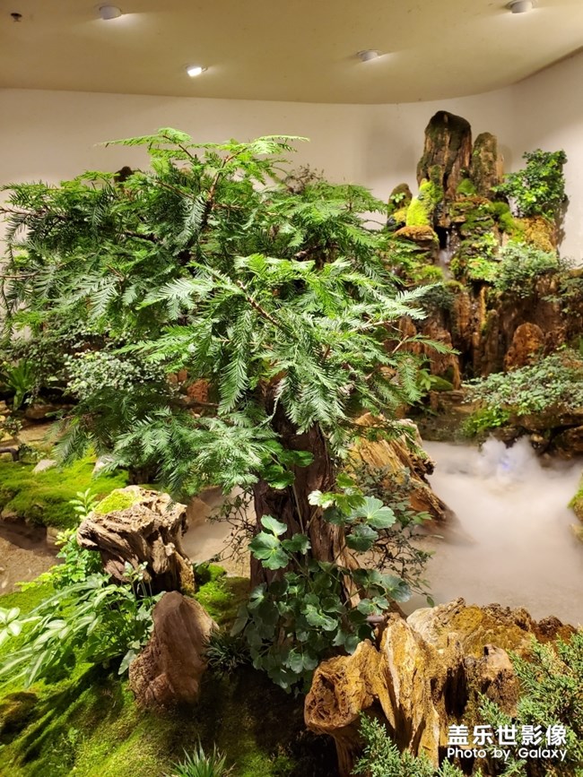 蟹家大院 网红店 note10