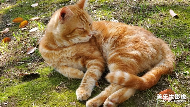 最近宅在家里的状态