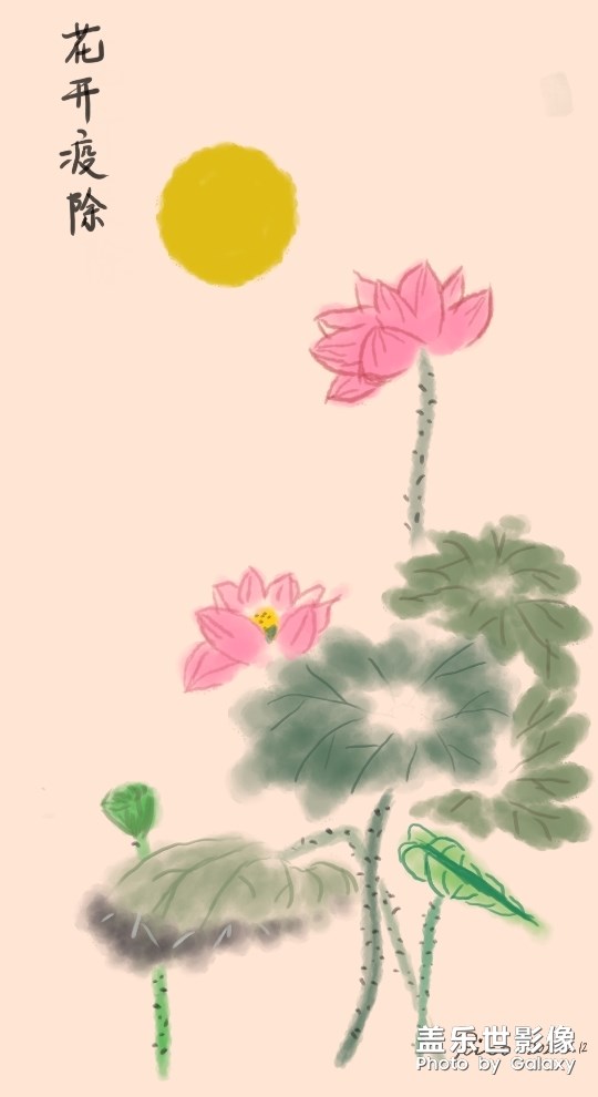 note10画荷花，期盼疫情尽快结束