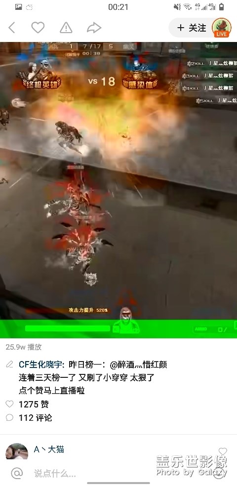 bug