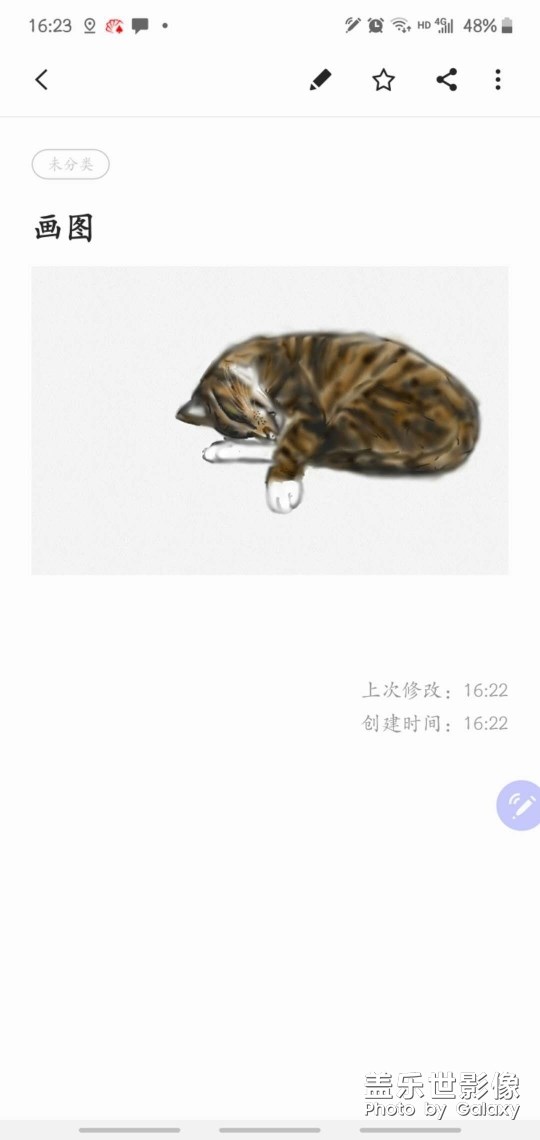 NOTE10 S pen 手绘猫咪