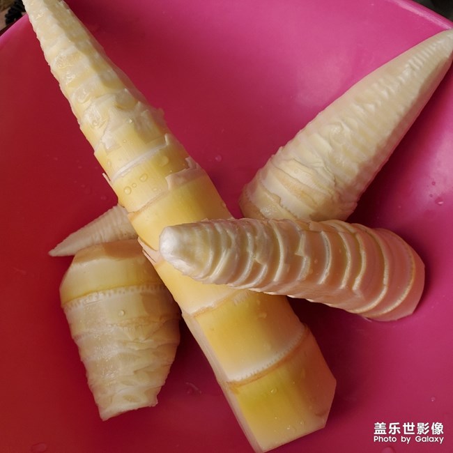 家常菜之四