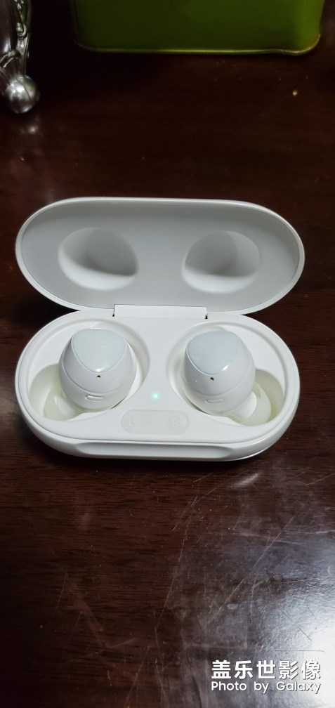 我的小白