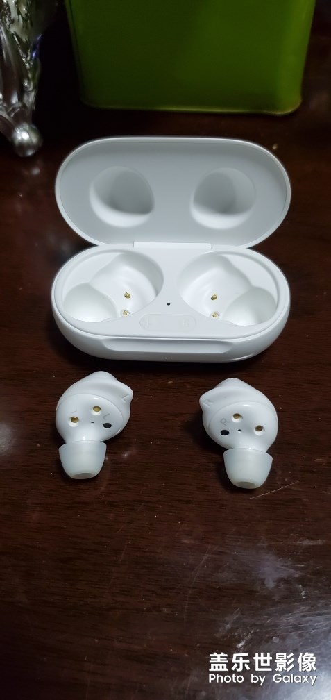 我的小白