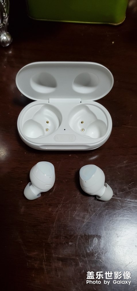 我的小白