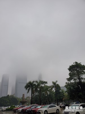 【最美瞬间】+ 春雨绵绵
