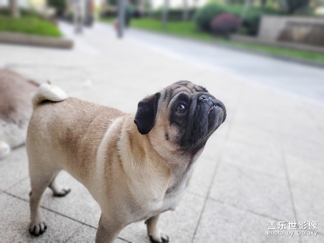 周三
