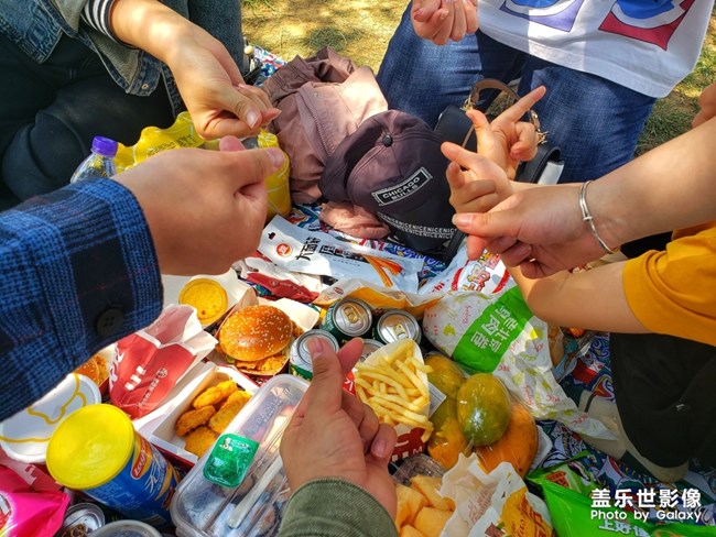【我的五一生活】+野营模式