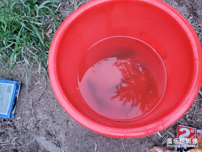 钓鱼人的一下午
