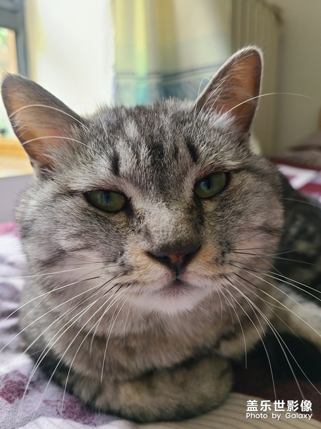 s20+场景自动识别功能真香