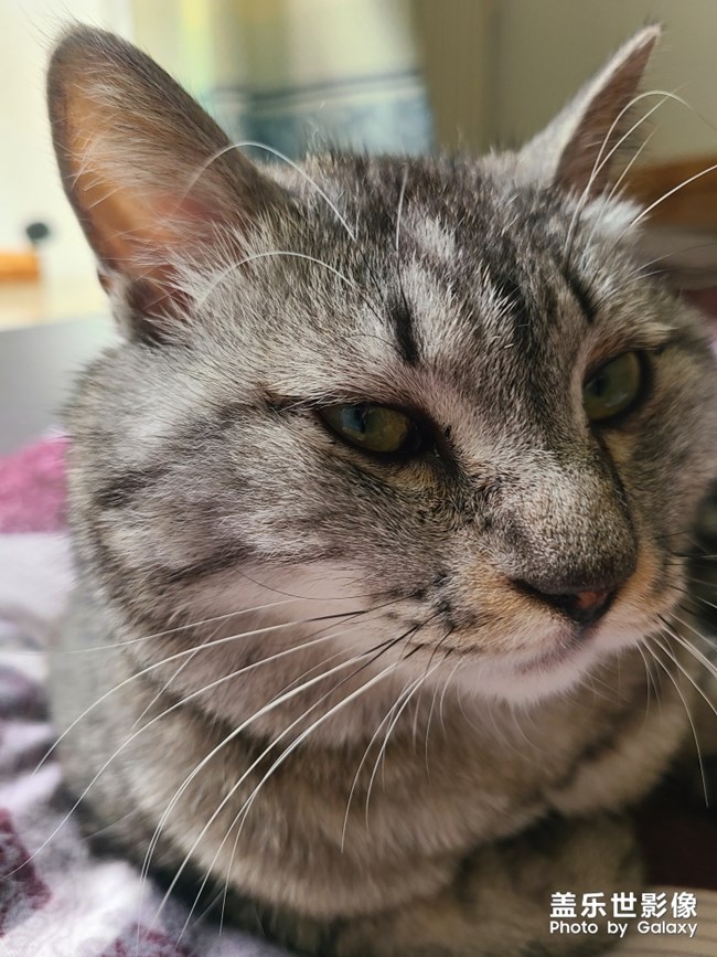 s20+场景自动识别功能真香