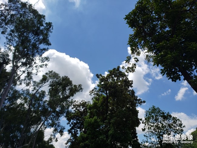 上次发了个果盘大家很喜欢