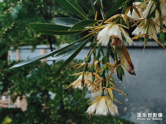 吃吃喝喝的周末