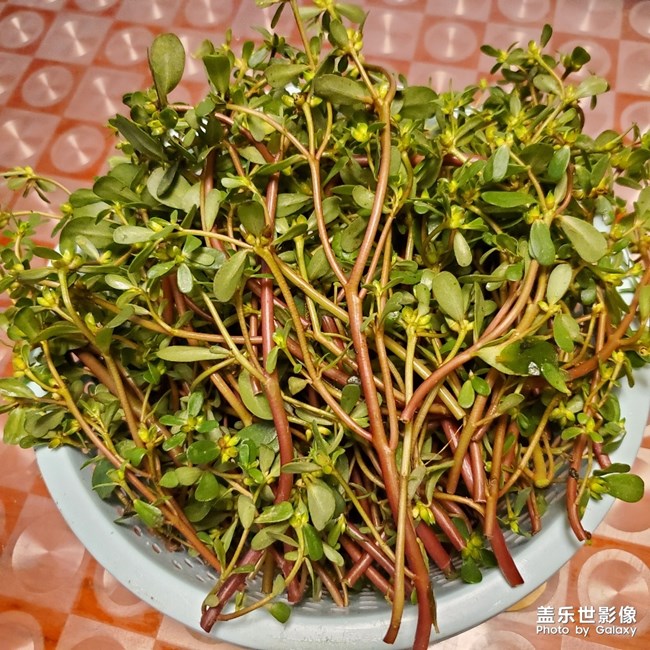 两种口味