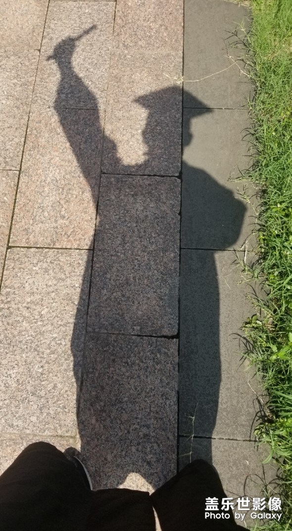 毕业的背影