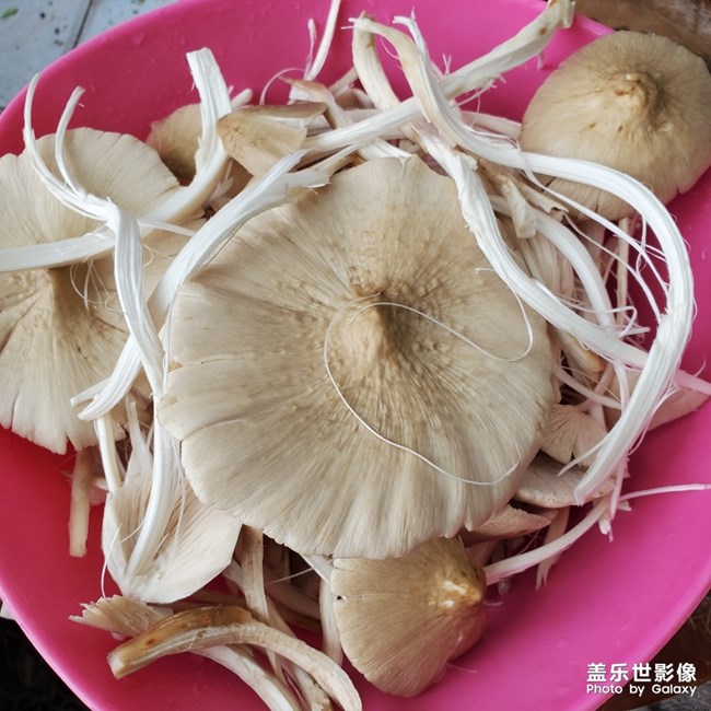 高考餐