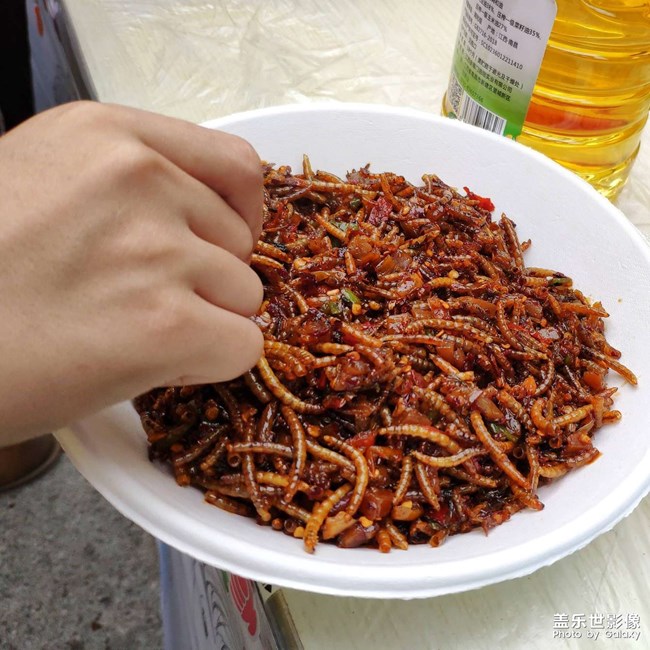 【午夜饕餮】+

云南特色