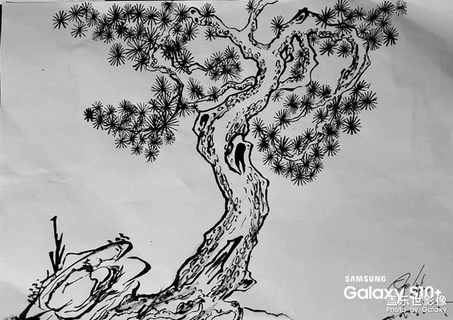 自学国画