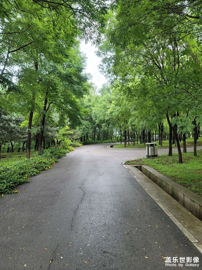 Note20U拍照近焦轮廓模糊