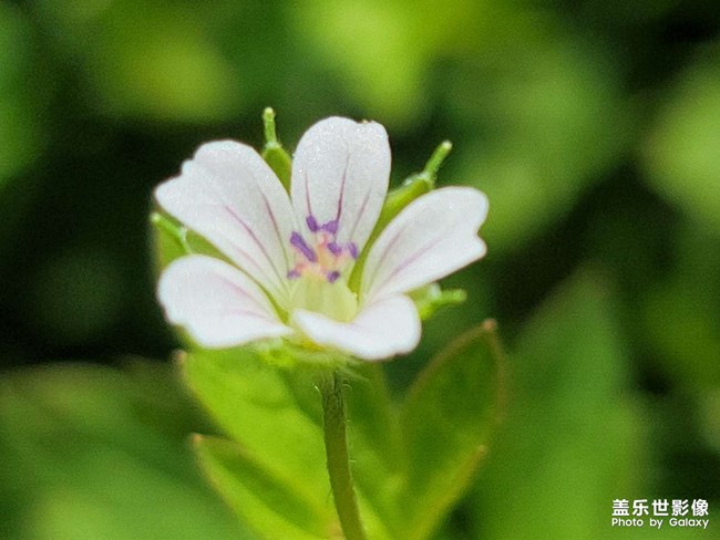 试拍几张，浅谈一下N20U的相机功能
