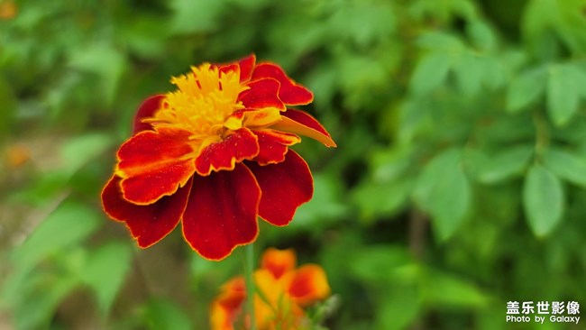 试拍几张，浅谈一下N20U的相机功能