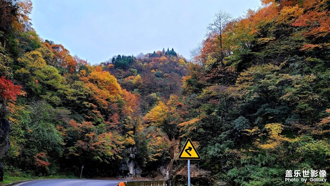 巴山红叶 修仙之处