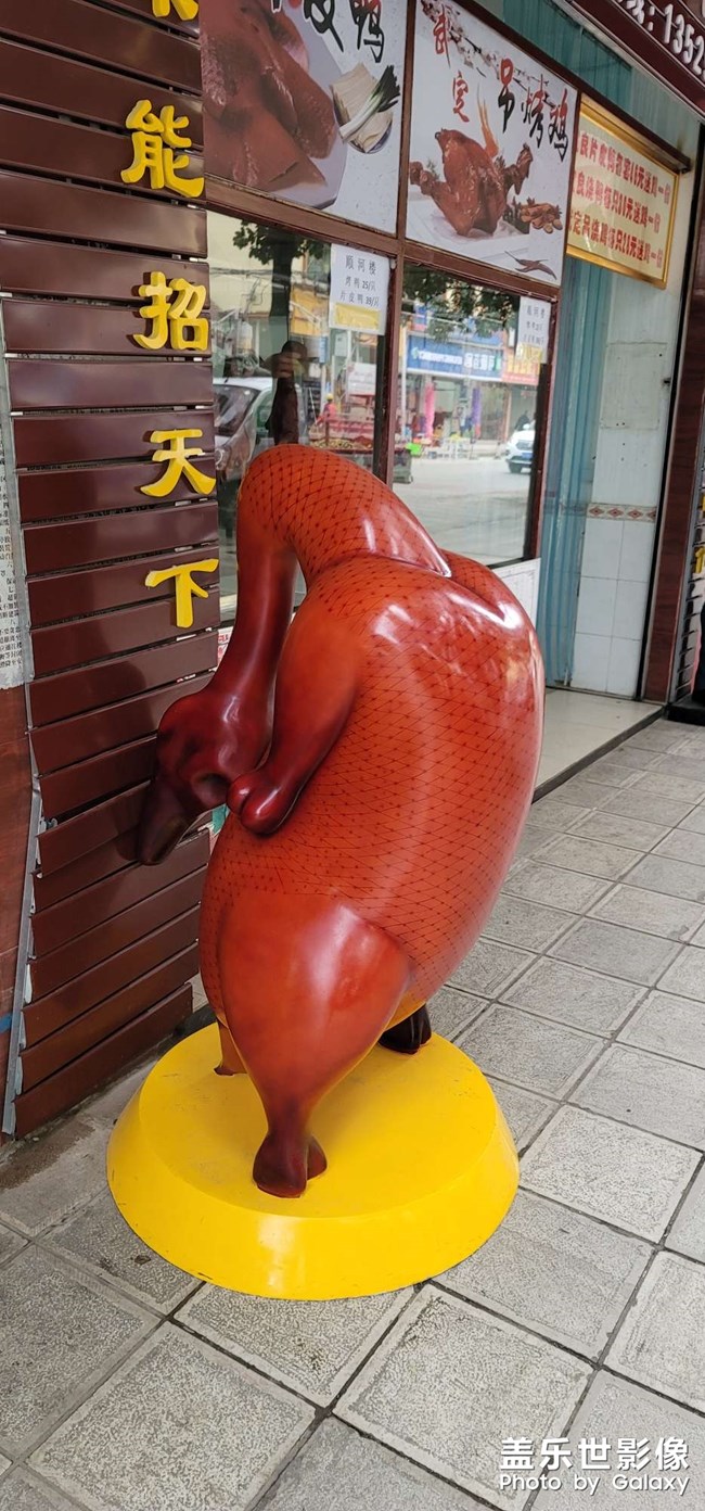 鸭鸭鸭 大烤鸭