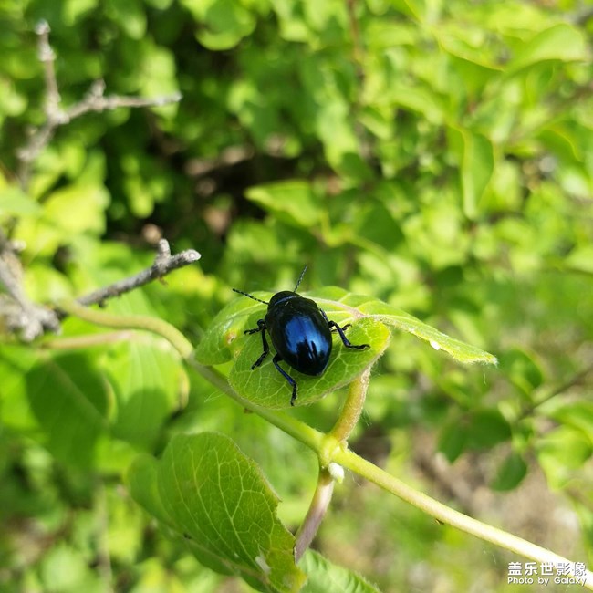 《每周星鲜事》 第54期