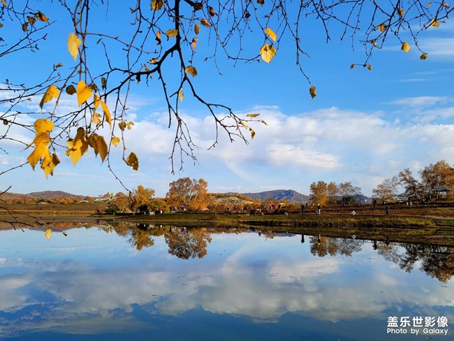 《每周星鲜事》 第54期