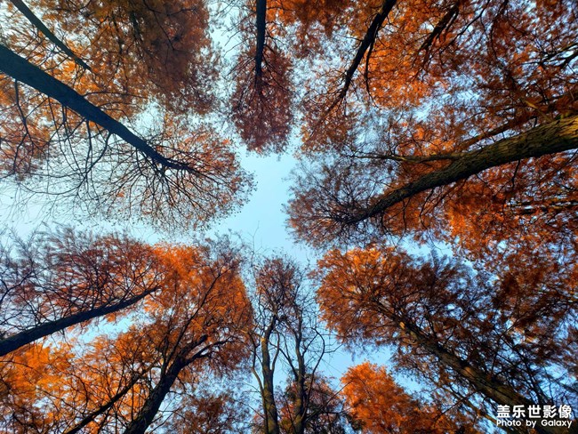 《每周星鲜事》 第54期