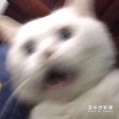 我感觉这个手机耗电挺快的