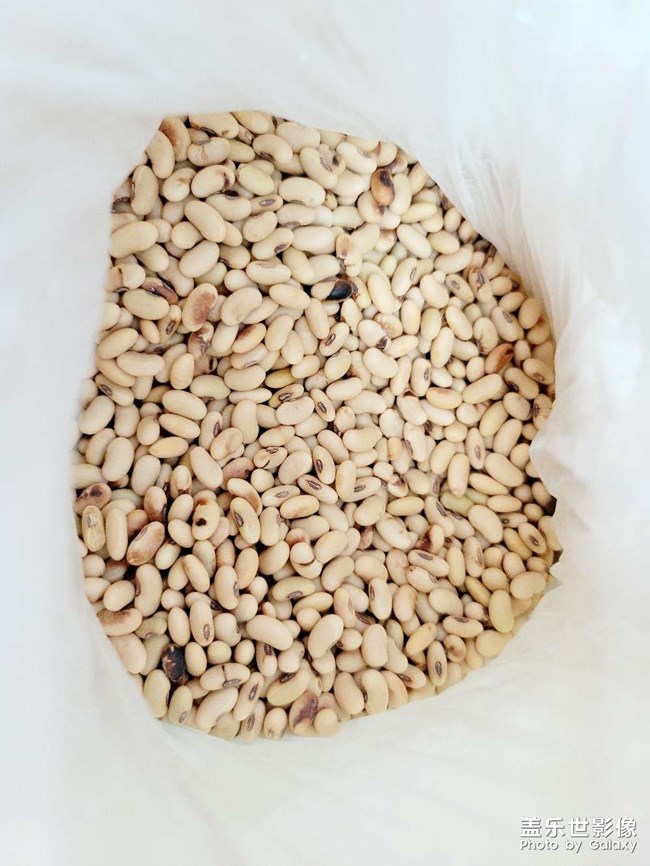 摄像头修好以前就只能发存货了（1）