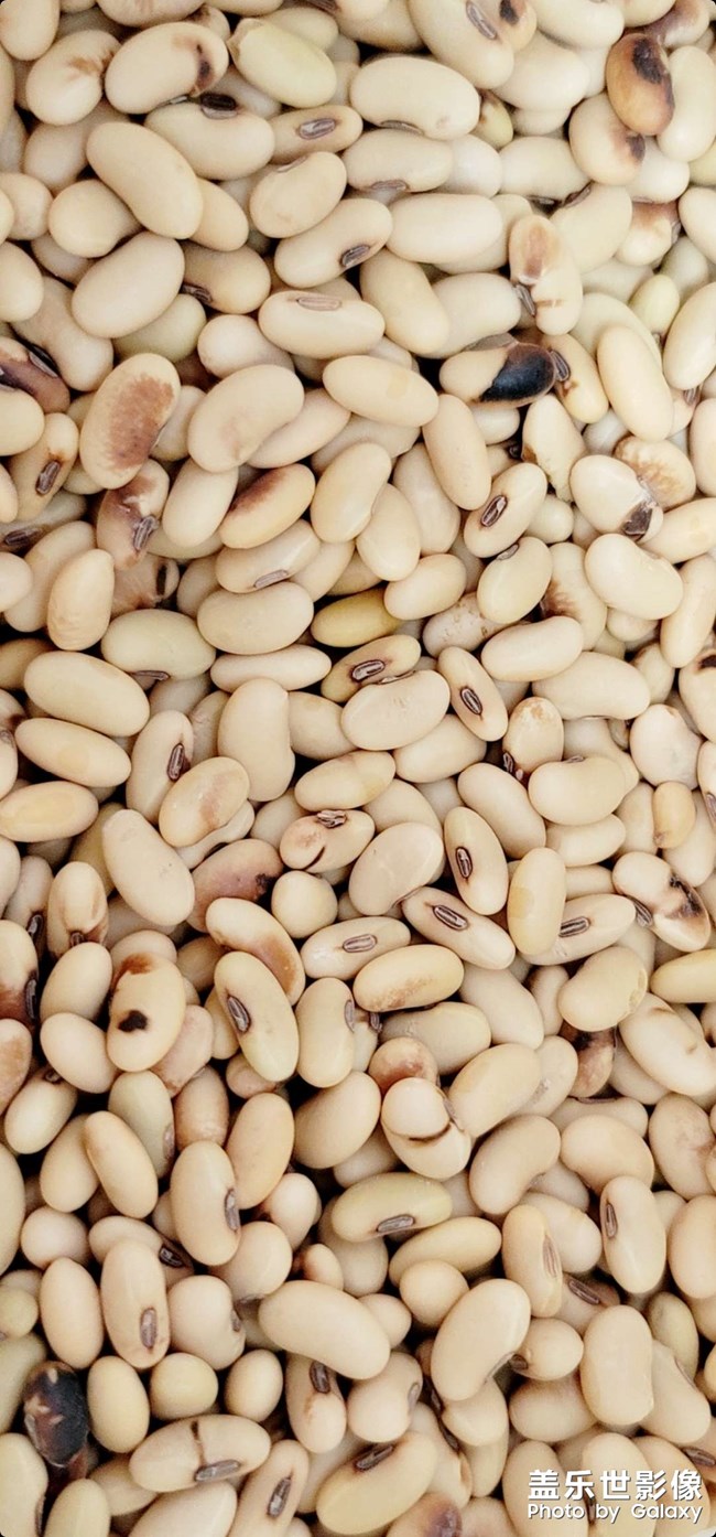 摄像头修好以前就只能发存货了（1）