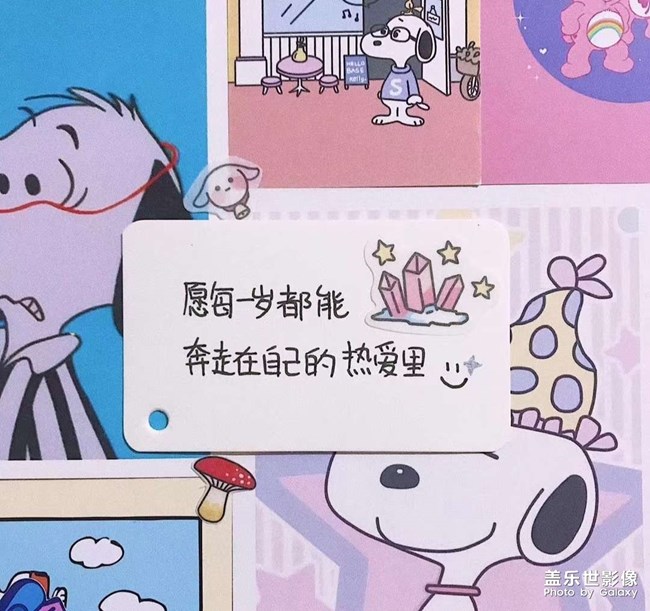 安得广厦千万间