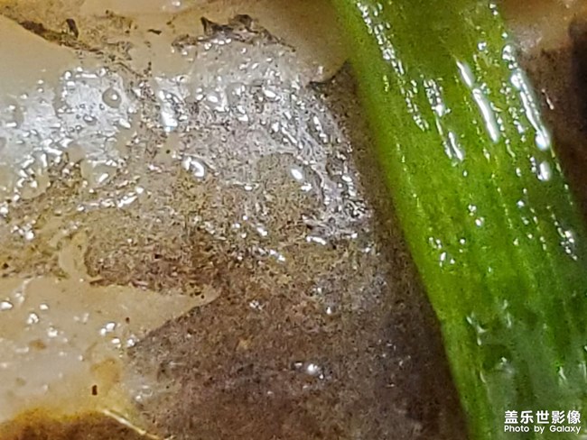 美食
