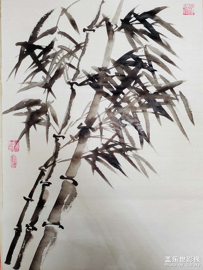 竹兰