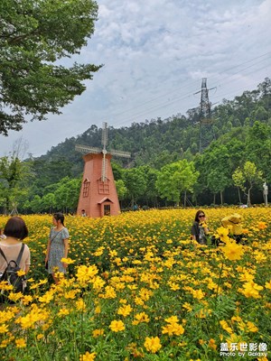 51顺峰山公园花海